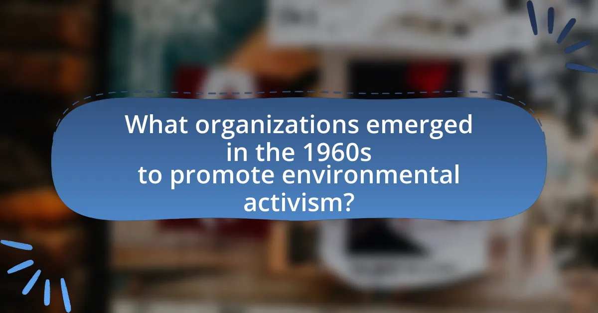 What organizations emerged in the 1960s to promote environmental activism?