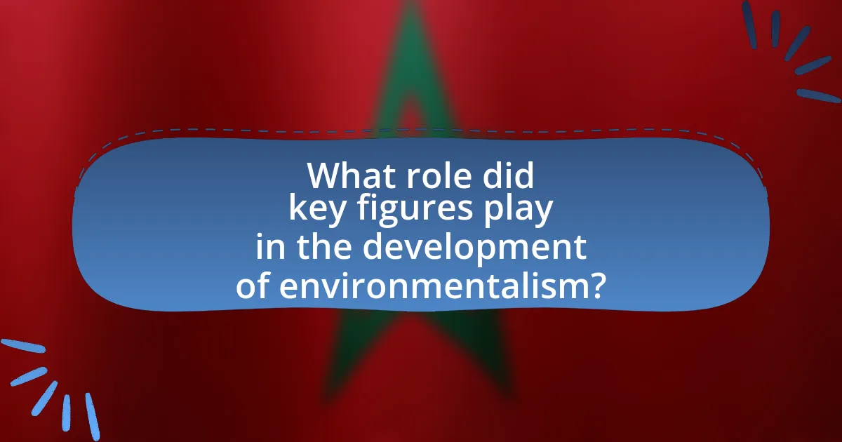 What role did key figures play in the development of environmentalism?